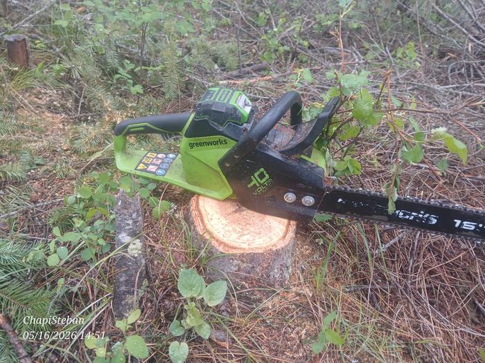Made sure to cut off the stumps as low as I can 
