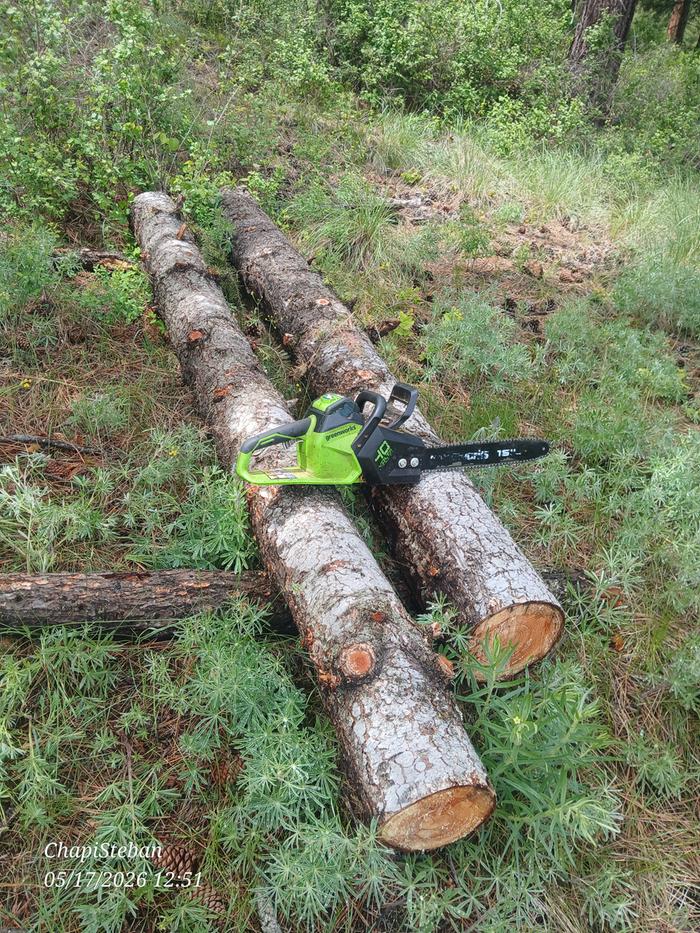 Logs to buck to 3' for Seth's current project at basecamp 