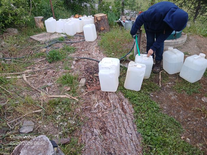Drip jugs for the trees on Apricot Alley 