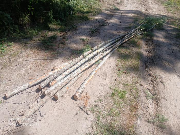 Some junkpoles that I harvested 