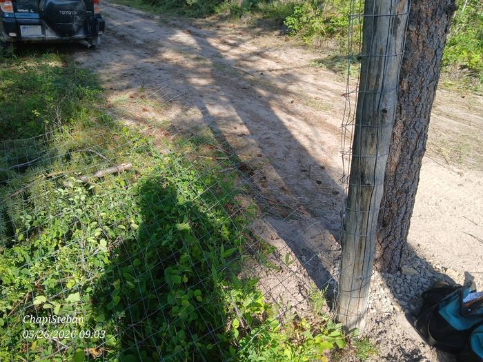 metal fencing now is down 