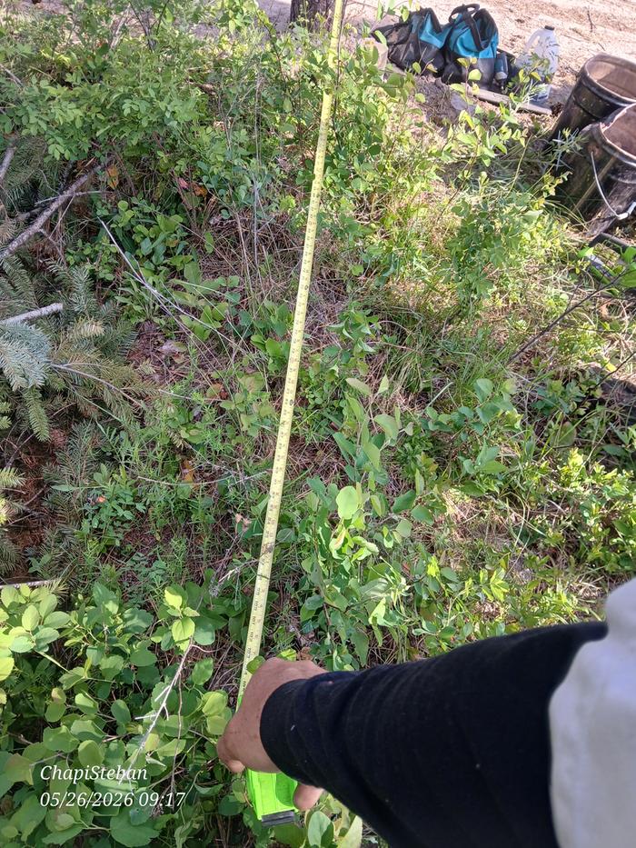 Measuring for 9 foot spread for the new vertical post 