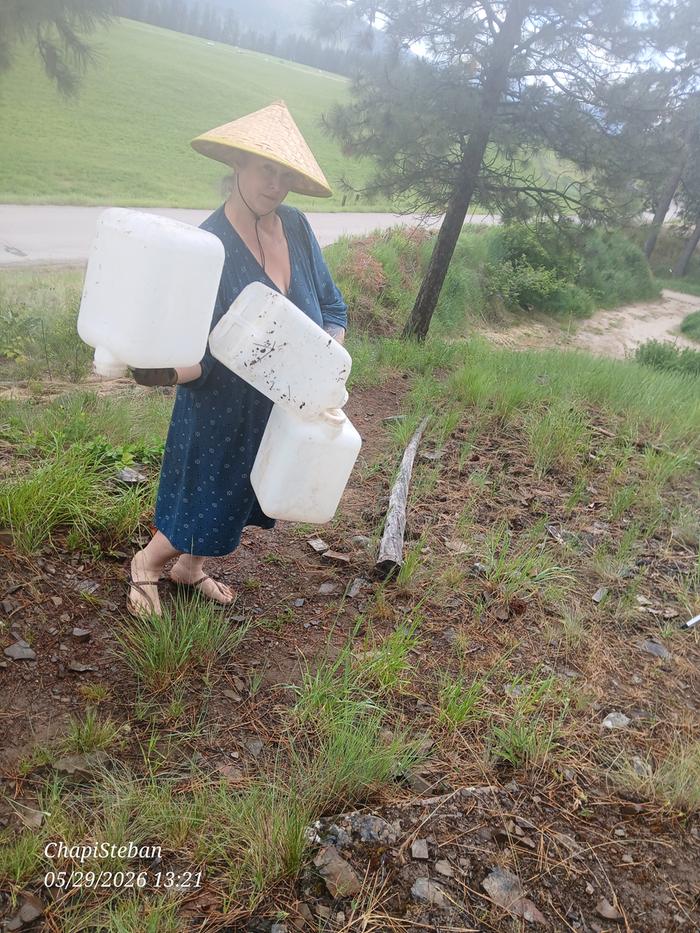 Irrigation at basecamp 