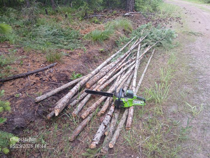 20 junkpoles that I harvested 