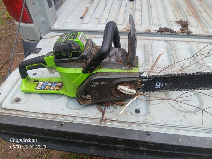 Time to field clean this chainsaw 