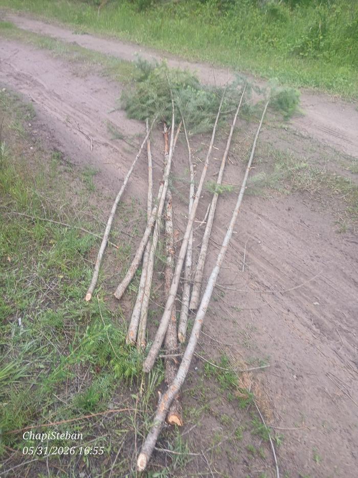 Some of the junkpoles that I harvested 