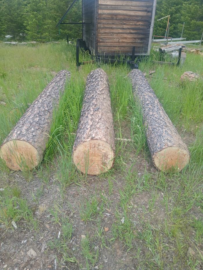 Middle log is the chosen one 