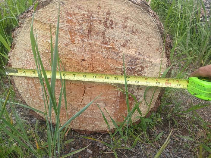 Diameter
