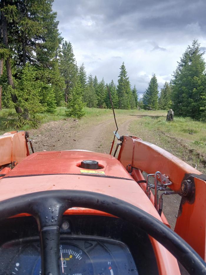 Heading off to grab the last log 