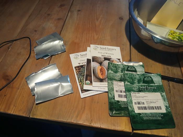Seeds that I planted 
