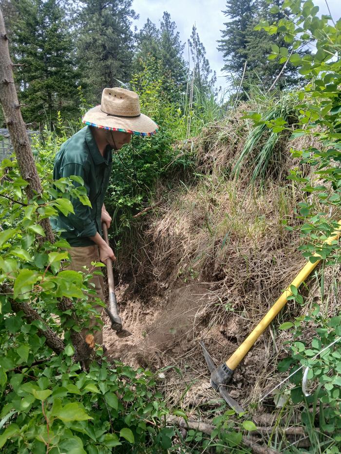 Leo on his trail widening task 
