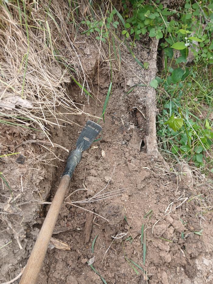 Trail widening 