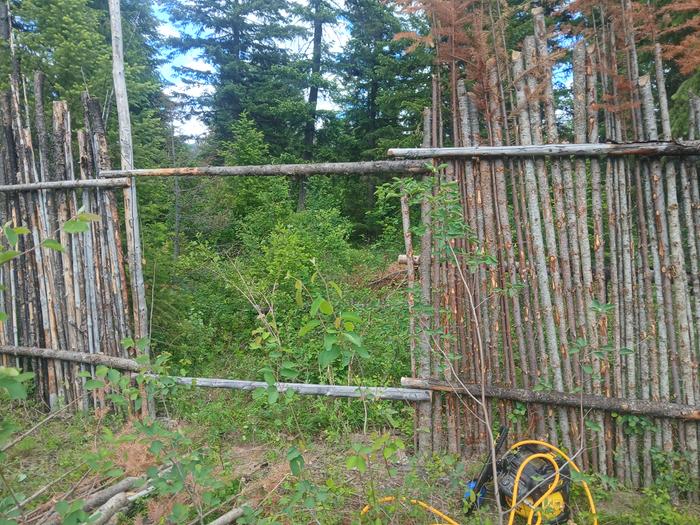 This panel between the Cooper Cabin and Ant Village gates failed .... area cleaned up and ready for rebuild 