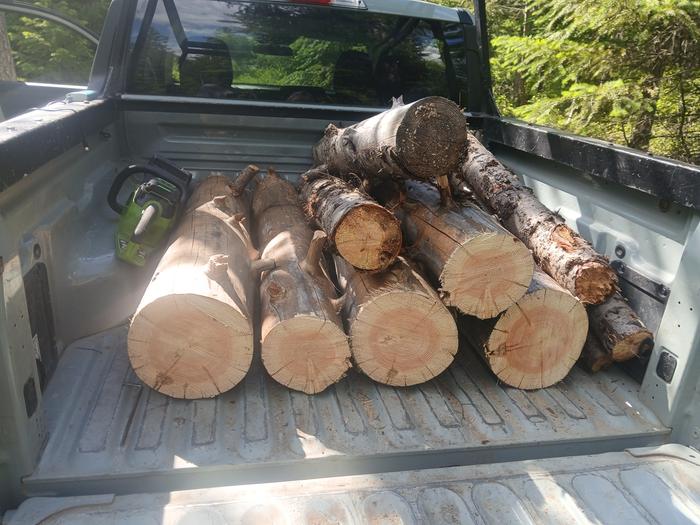 Logs that I bucked for firewood 