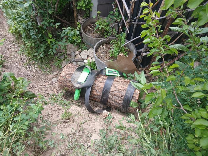 One step closer to the sec8ng hugel step by the grape plant 