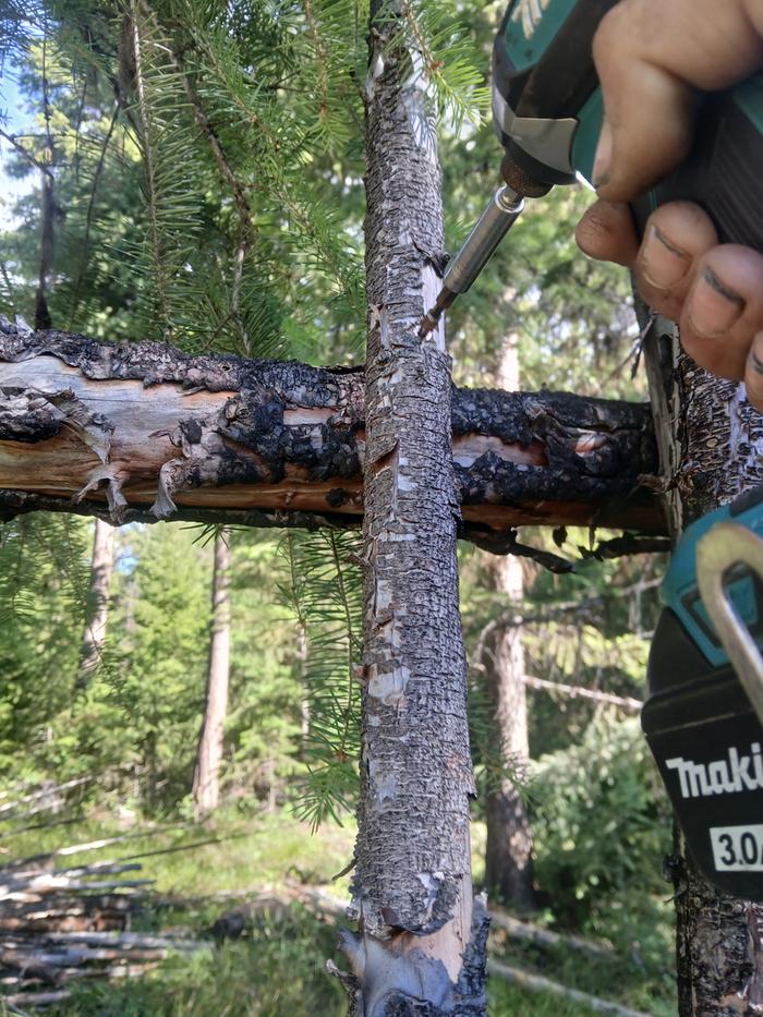 Whomever installed this before ... screwed in almost all the junkpoles