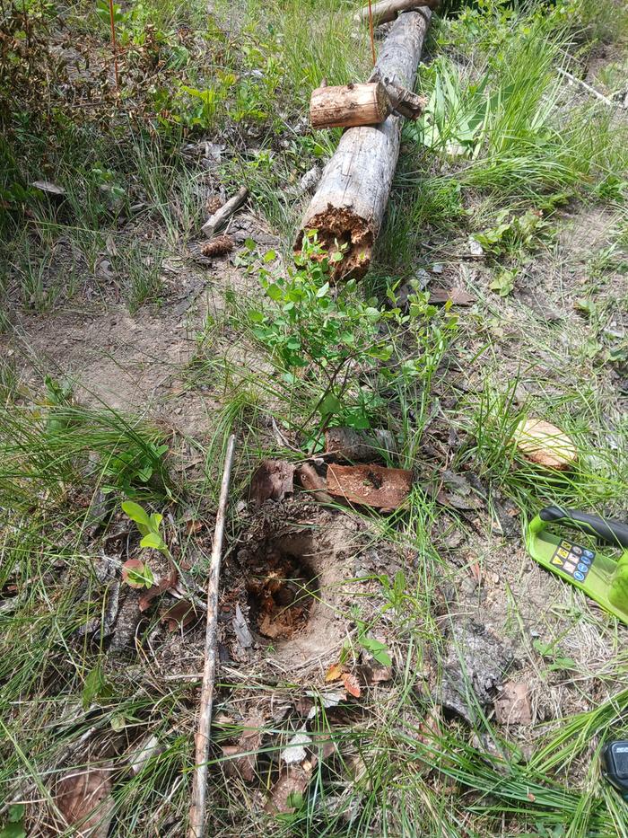 As I suspected the post is rotted 