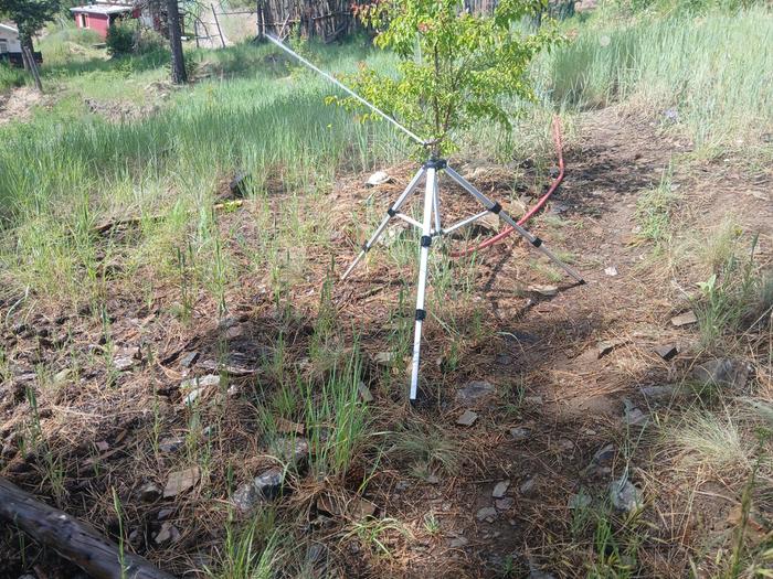 Irrigation at apricot alley 