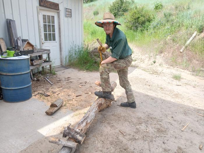 Leo in progress with bucking, splitting and stacking 