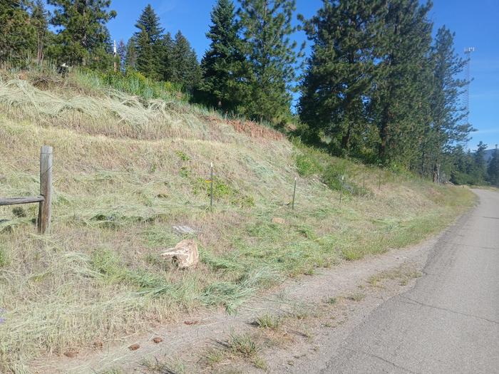 Streetside of turtle berm completed 