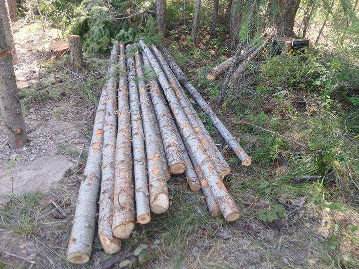 18 - 10' horizontal posts harvested ... ready to start notching and frame 