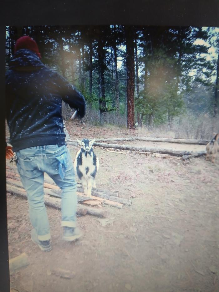Throwback of Stephen giving choice words to the goat lol 