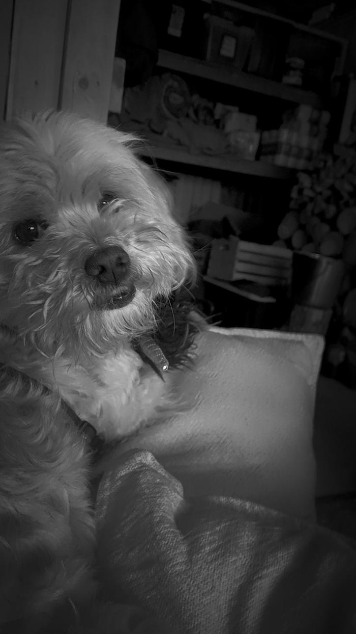 My little one just chilling 