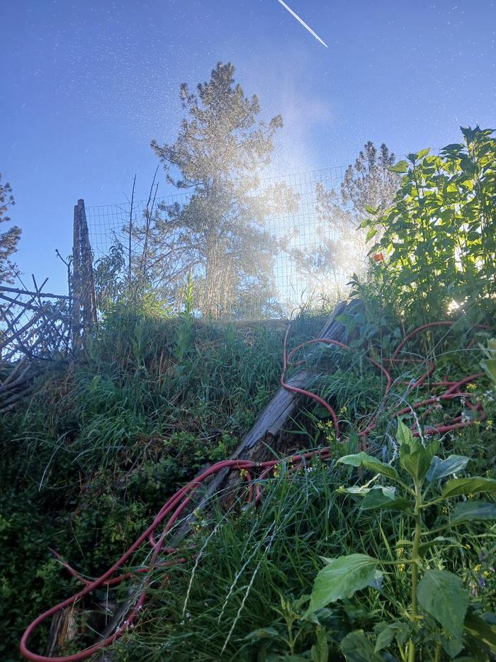 Started irrigation first thing in the morning 