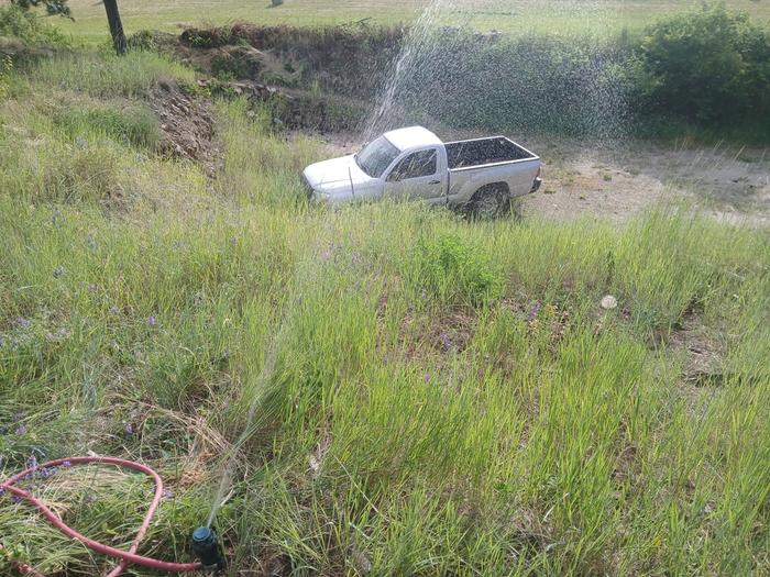 Irrigation at Apricot Alley 