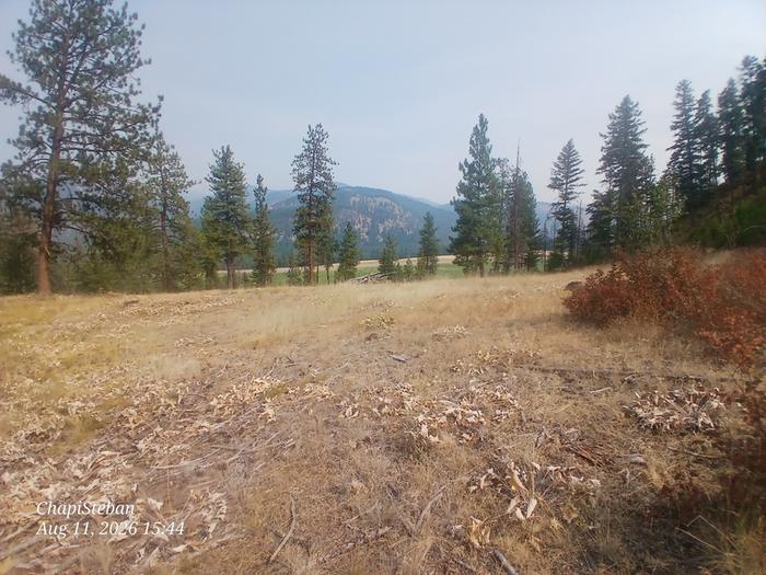 Plum Site 