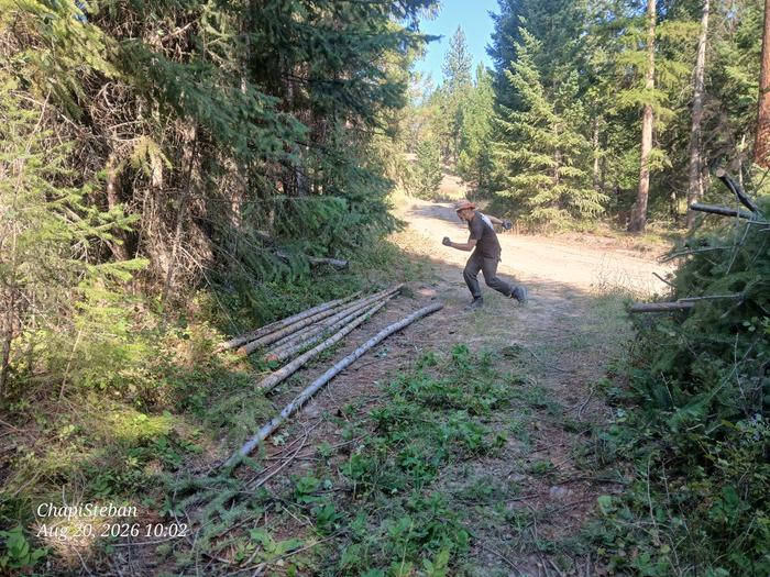 Stephen being such a delight taking the woody bits ... to stage by the area of fencing that I need to rebuild 