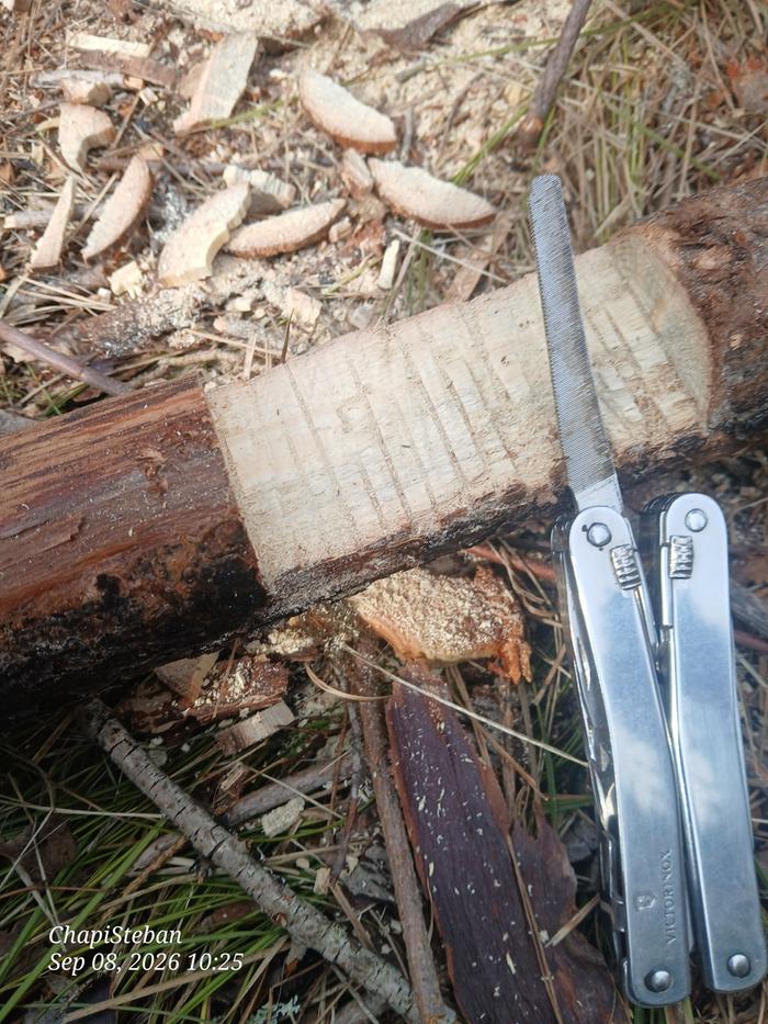 Notch completed ... all using personal handtools that were on me ... 