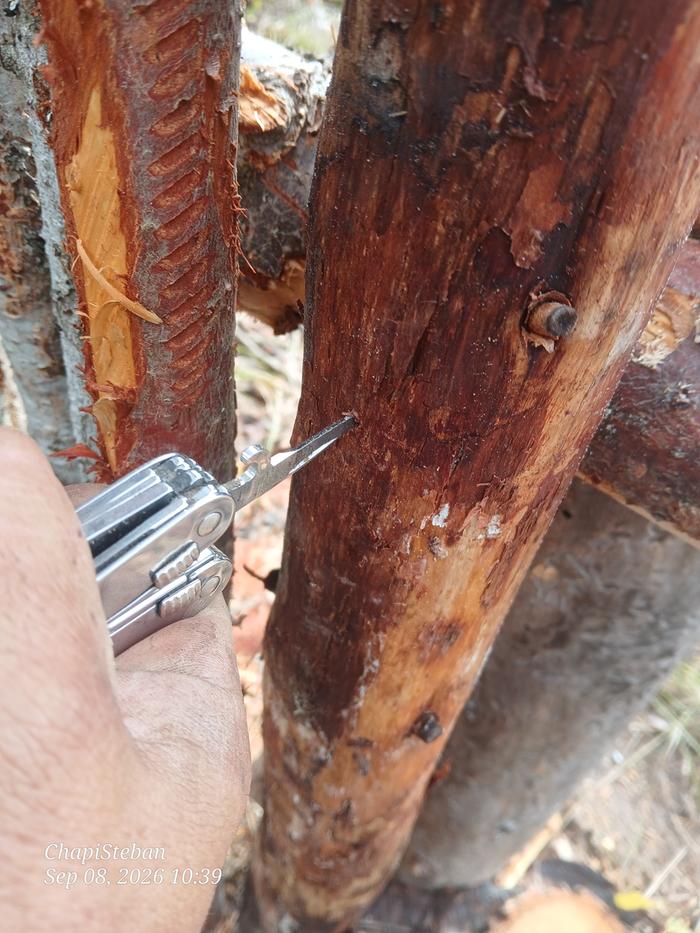 Making a pilot hole 