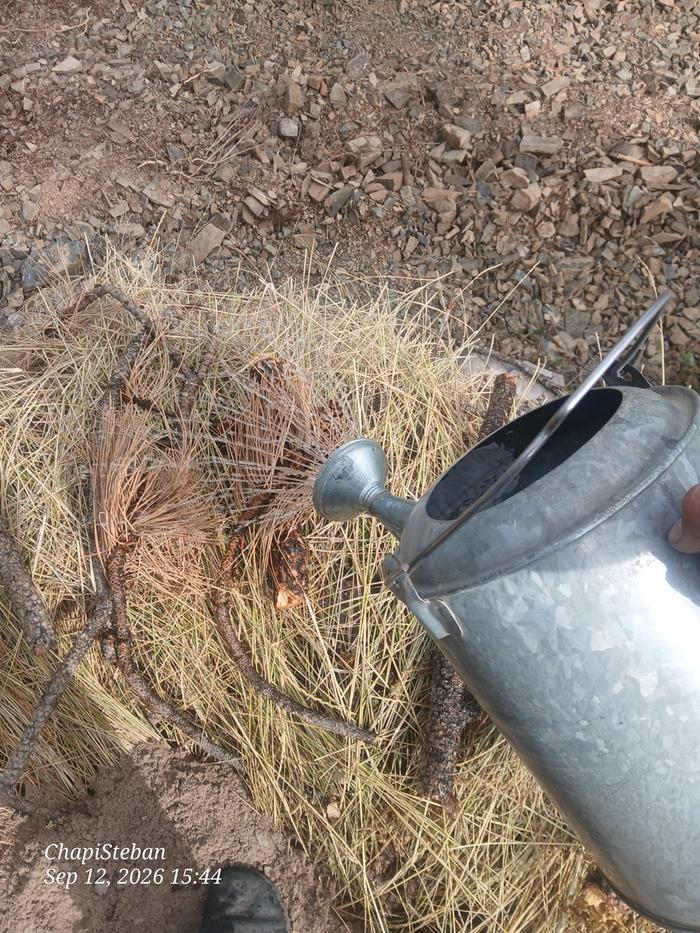 Also I did some irrigating as well
