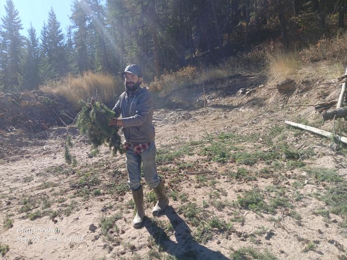 Sam assisted me with placing the limbs on the east berm 