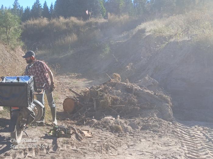 Tasked Sam to clear these woody bits out of the way ... 