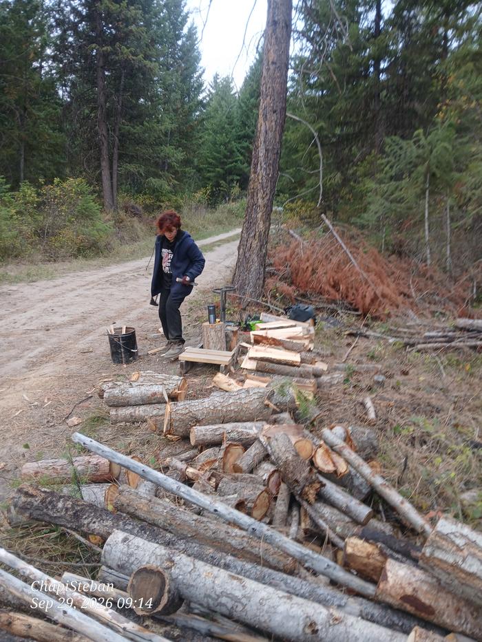 Jesse plucking away at the pile 