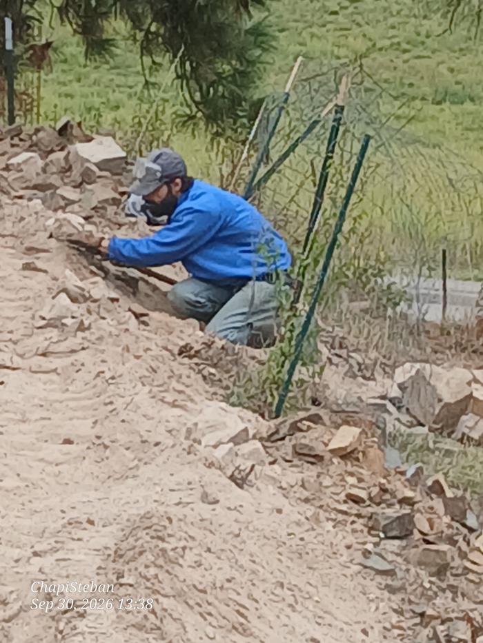 Sam working on the turtle lot trail 