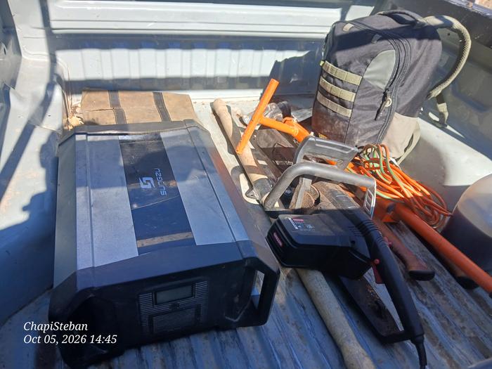 Loaded up some tools to process the felled dead standing tree