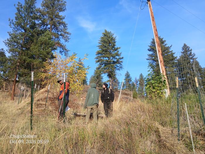 Stevie, Sam and Eric taking a closer look at various rockjacks ... before constructing some for the complexity trail sign builds 