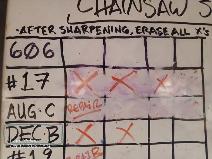 Chose chainsaw # 17 for some maintenance 