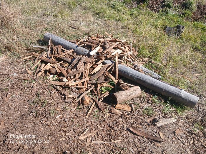 Will utilizing this pile for kindling 
