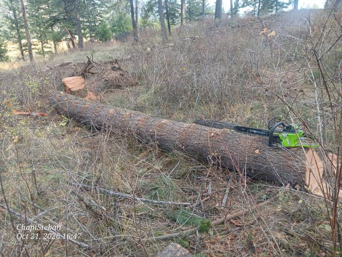 Remaining log to buck to length 