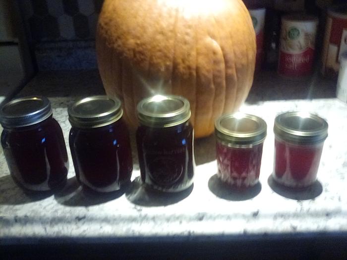 [Thumbnail for American-Beautyberry-jelly.jpeg]