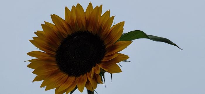 [Thumbnail for 20240818_090535.jpg]