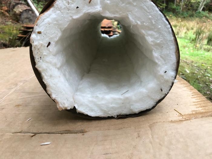 [Thumbnail for IMG_2377.jpg]