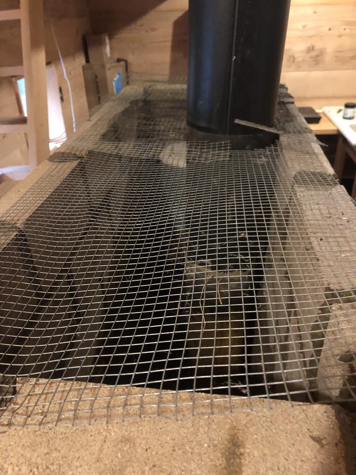 [Thumbnail for IMG_2394.jpg]