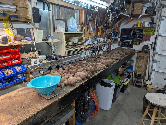 These all came from the fabric pots.