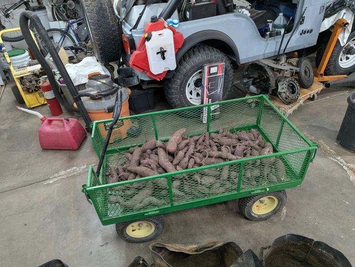 These came from the plastic pots.