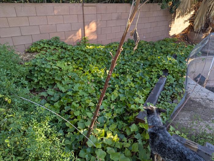 This was a couple of months ago in the morning. 